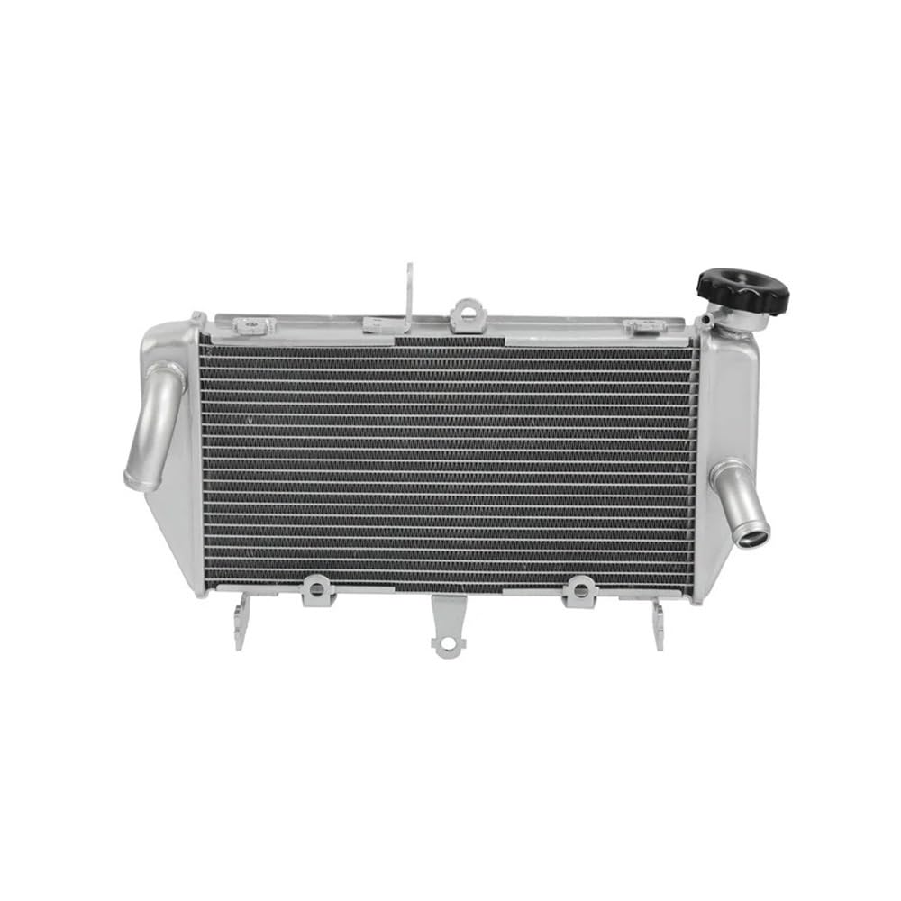 Motorrad Kühlergrill Abdeckung Motorrad Kühler Motor Kühler Kühlung Für Yam&aha MT-03 MT-25 2016-2023 Aluminium von LWNHYQPS