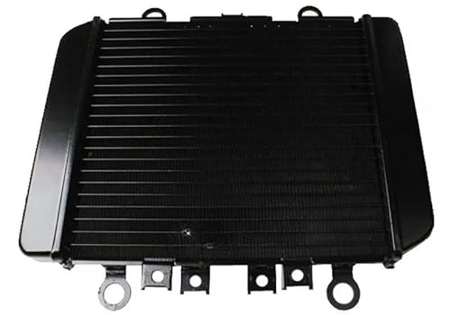 Motorrad Kühlergrill Abdeckung Motorrad Motor Kühler Kühler Kühlsystem Für Kawa&saki ER-5 ER500 1996-2006 97 98 von LWNHYQPS