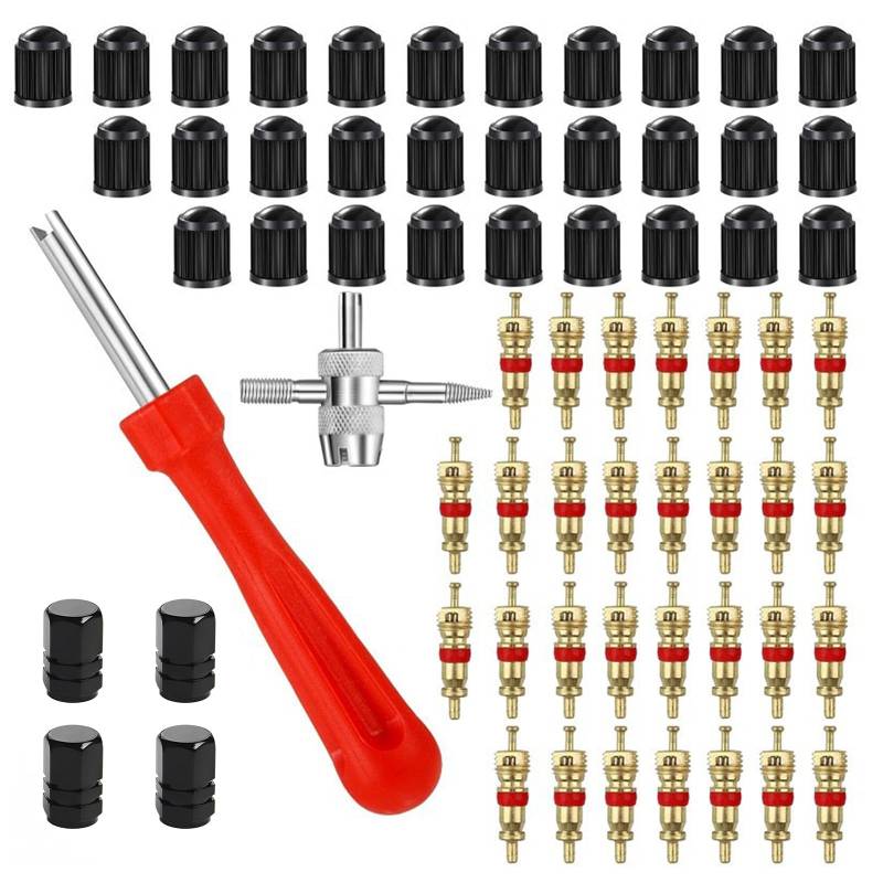 LZYDKH Reifenventilentfernungswerkzeug, langlebiges Ventilkernentfernungswerkzeug, Doppel- und Einzelkopf-Ventilkernentferner, Premium-Qualität, Reifenventilwerkzeug für Auto, Fahrrad, Auto, 66 Stück von LZYDKH