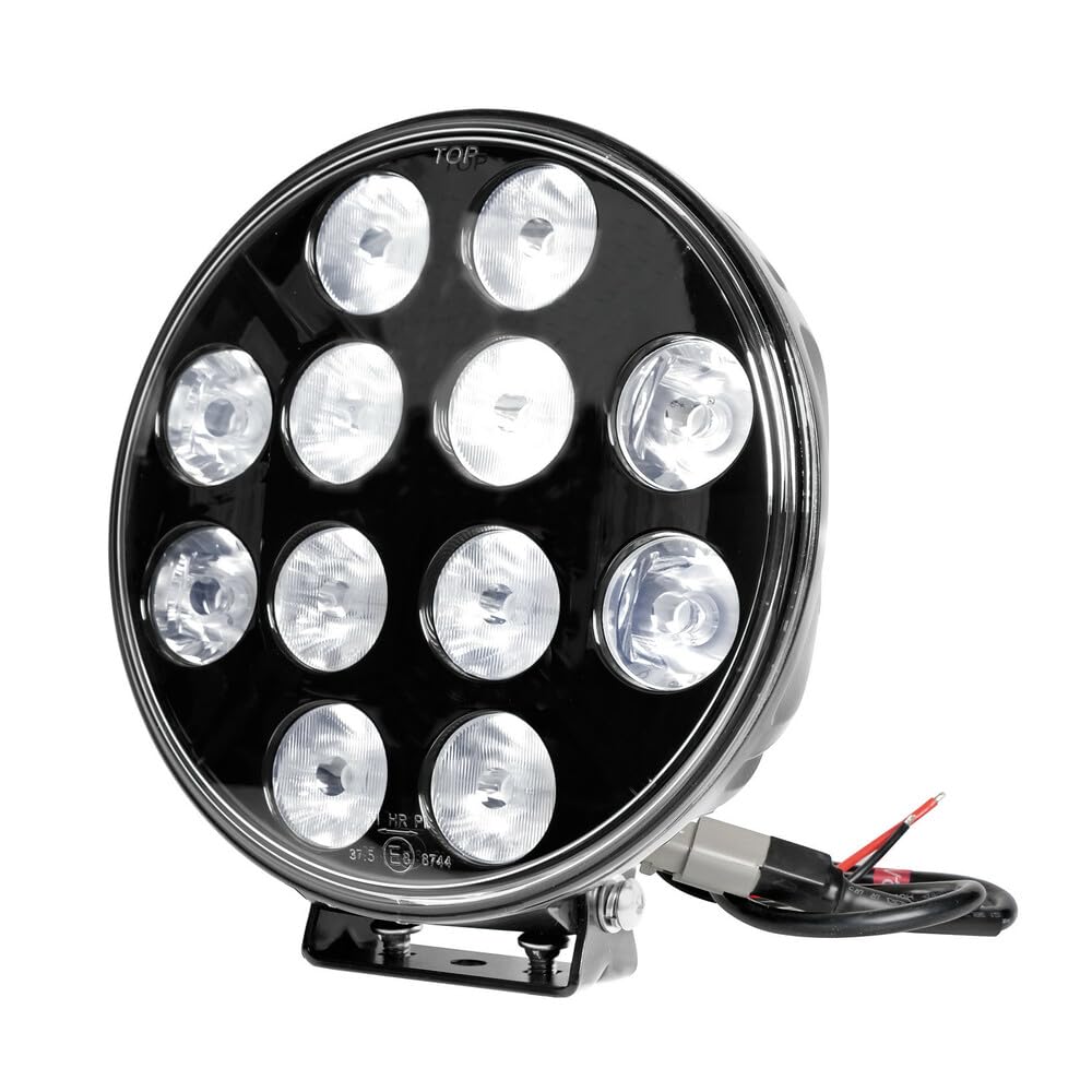 LAMPA 72247 Faro A 12 LED 9 – 36 V, Schwarz von Lampa