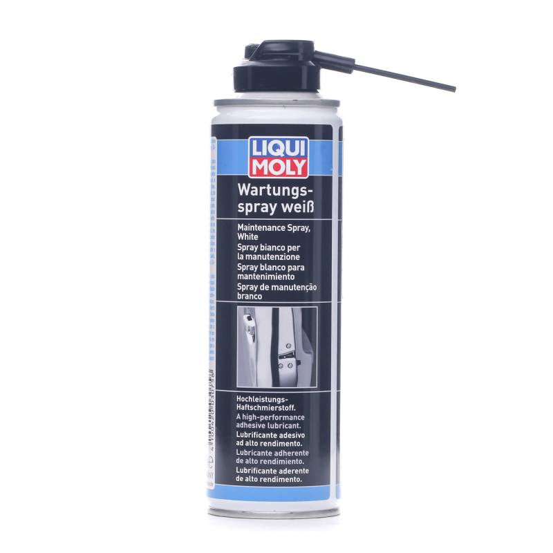 LIQUI MOLY Montagespray 3075 P000525 von Liqui Moly