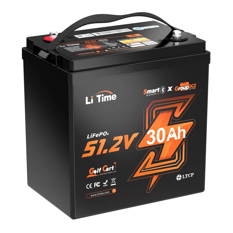 LiTime 48V 30Ah GC2 Bluetooth Golf Cart Lithium Batterie, Bluetooth mit LiTime APP, 1,536 kW Leistung, Max. 15000 Zyklen und 10 Jahre Lebensdauer von Litime