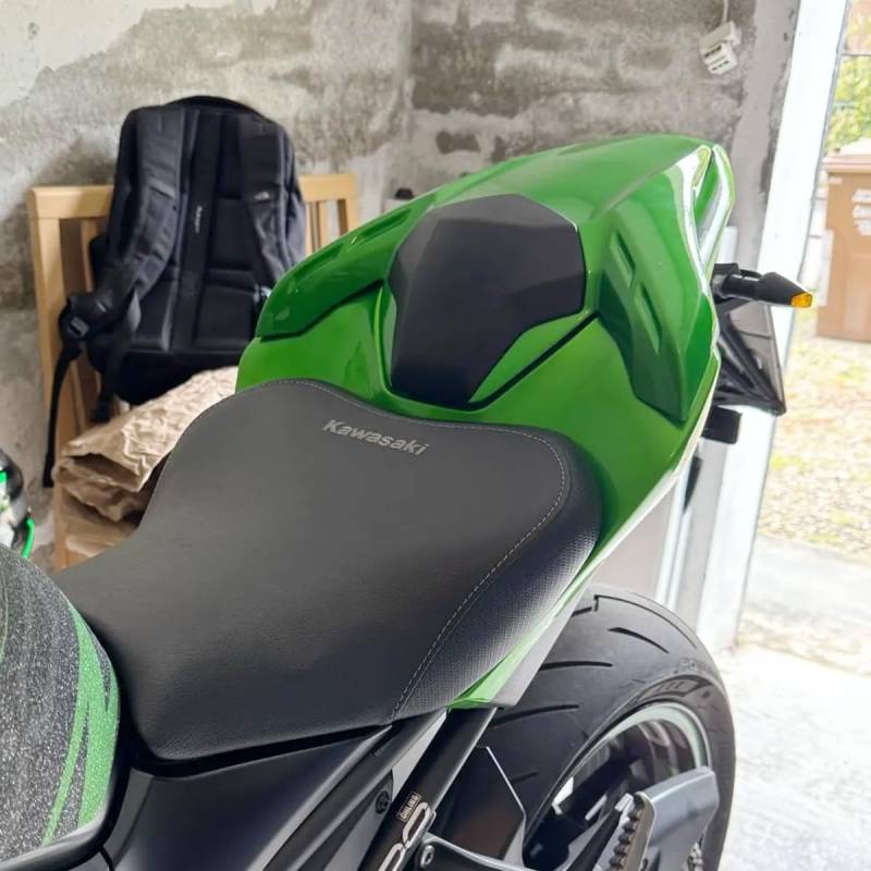 Lorababer Motorrad Soziusabdeckung Sitzkappe Verkleidung Heckabdeckung Rücksitzbezug für Z900 ABS Z 900 SE 2017 2018 2019 2020 2021 2022 2023 2024 (Grün) von Lorababer