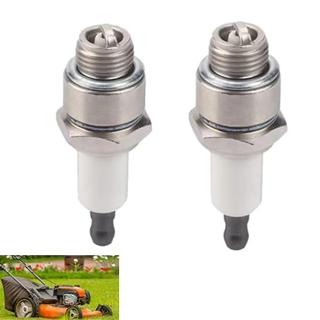 2 Stück RJ19LM Zündkerze 4-Takt Rasenmäher Spark Plug for Briggs & Stratton 796112 796112S 796112 3121-C5-0041 Champio von Lunpog