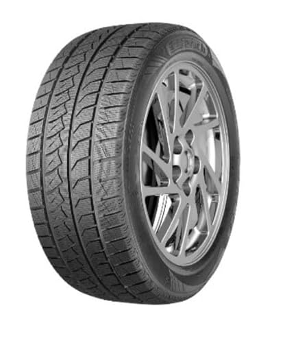 MASSIMO Winterreifen 205/65 R 16 C TL 107/105T MAS WINTER 75 8PR BSW M+S 3PMSF von M MASSIMO MOTOR