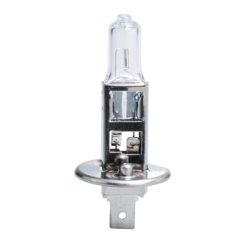 M-Tech Z901 P14.5s Halogenlampe 24 V/70 W H1 von M-Tech