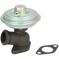 AGR Ventil MAGNETI MARELLI 571822112104 von Magneti Marelli