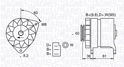 Magneti Marelli Generator [Hersteller-Nr. 063731227010] für Austin, Ford, Land Rover, Mg, Rover von MAGNETI MARELLI