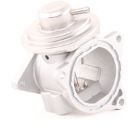 MAGNETI MARELLI AGR-Ventil 571822112045 Abgasrückführungsventil,Abgasrückführung VW,AUDI,SKODA,Golf IV Schrägheck (1J1),Golf V Schrägheck (1K1) von MAGNETI MARELLI