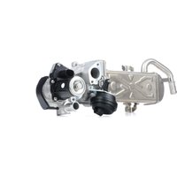 MAGNETI MARELLI AGR-Ventil 571822112060 Abgasrückführungsventil,Abgasrückführung VW,AUDI,SKODA,Golf VII Schrägheck (5G1, BQ1, BE1, BE2),GOLF VI (5K1) von MAGNETI MARELLI