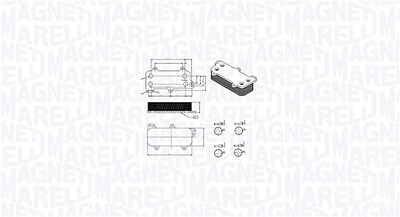 Magneti Marelli Ölkühler, Motoröl [Hersteller-Nr. 350300003700] für Skoda, VW von MAGNETI MARELLI