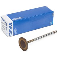 MAHLE ORIGINAL Einlaßventil Einlassseite 029 VE 30528 000  VW,AUDI,SKODA,Golf IV Schrägheck (1J1),Golf V Schrägheck (1K1),POLO (9N_),TOURAN (1T1, 1T2) von MAHLE ORIGINAL