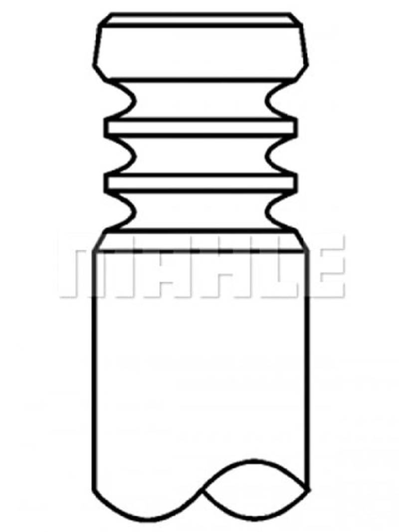 MAHLE ORIGINAL 029 VA 31097 100 Auslaßventil von MAHLE