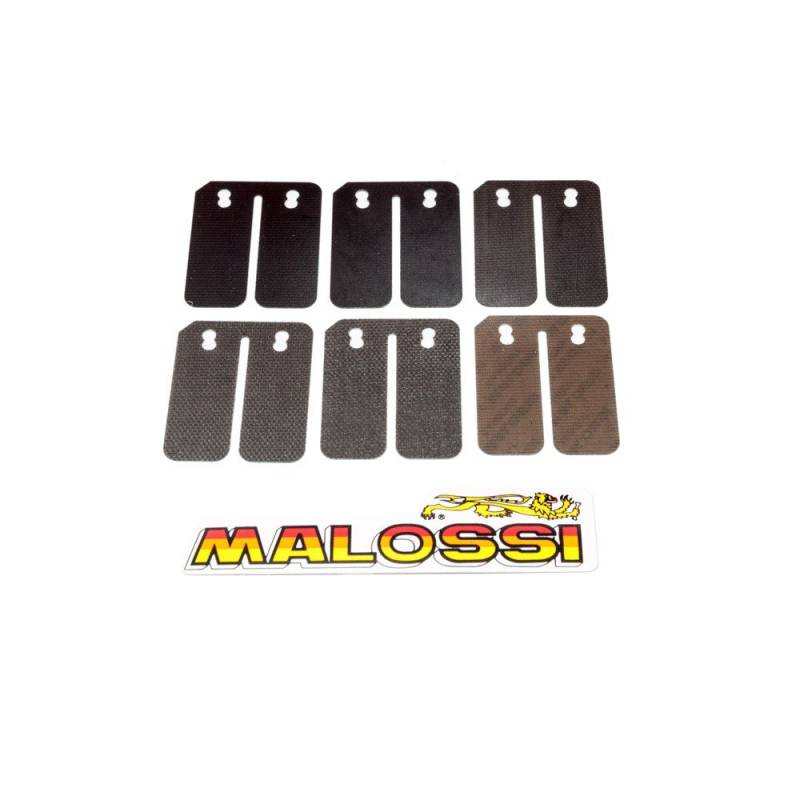 Einlassmembrane MALOSSI Carbon - Keeway-RY8 50 Racing von MALOSSI