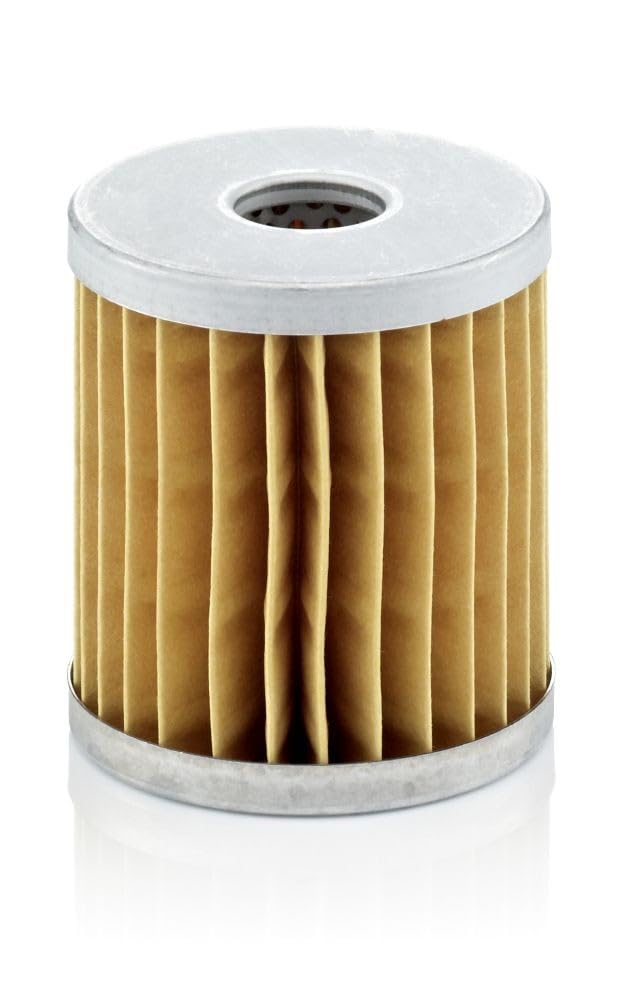 MANN-FILTER C 66 Luftfilter – Für Nutzfahrzeuge von MANN-FILTER