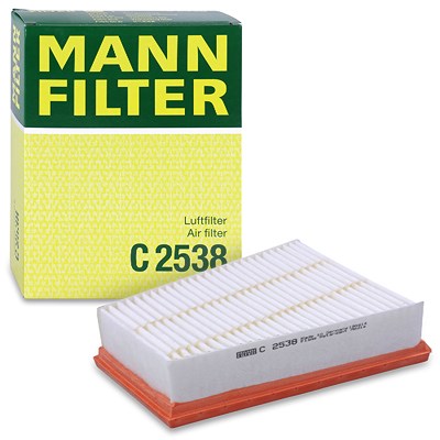 Mann-filter Luftfilter [Hersteller-Nr. C2538] für Renault von MANN-FILTER