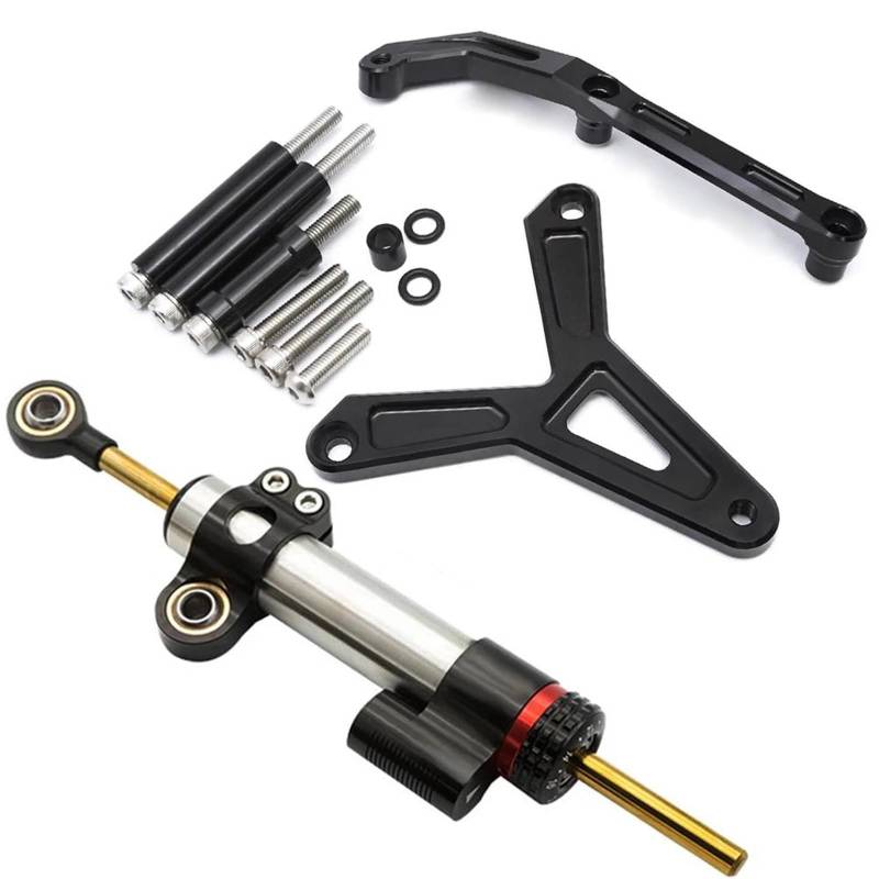 Lenkstabilisator Aluminium Carbon Motorrad Lenkung Dämpfer Stabilisator Halterung Montage Unterstützung Kit Für FJ-09 MT-09 Für Tracer 2021-2023 CNC Dämpfer(B Silver Set) von MAYINGLON