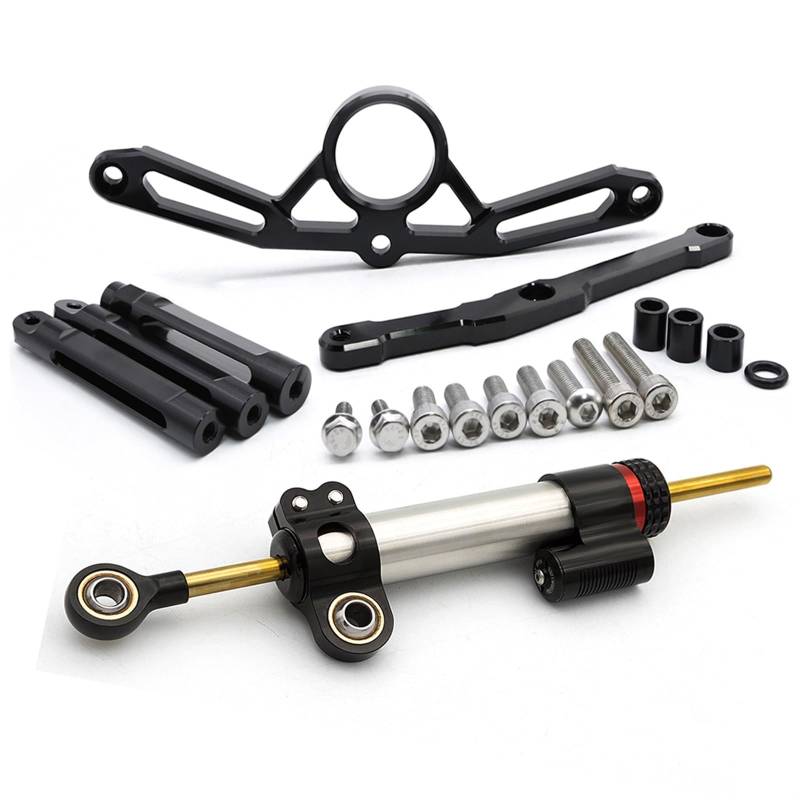 Lenkstabilisator Motorrad Stabilisator Lenkung Dämpfer FÜR MT09 Für MT-09 Für MT 09 2021 2022 2023 Halterung Montage Kit Zubehör Dämpfer(Damper n Bracket G) von MAYINGLON