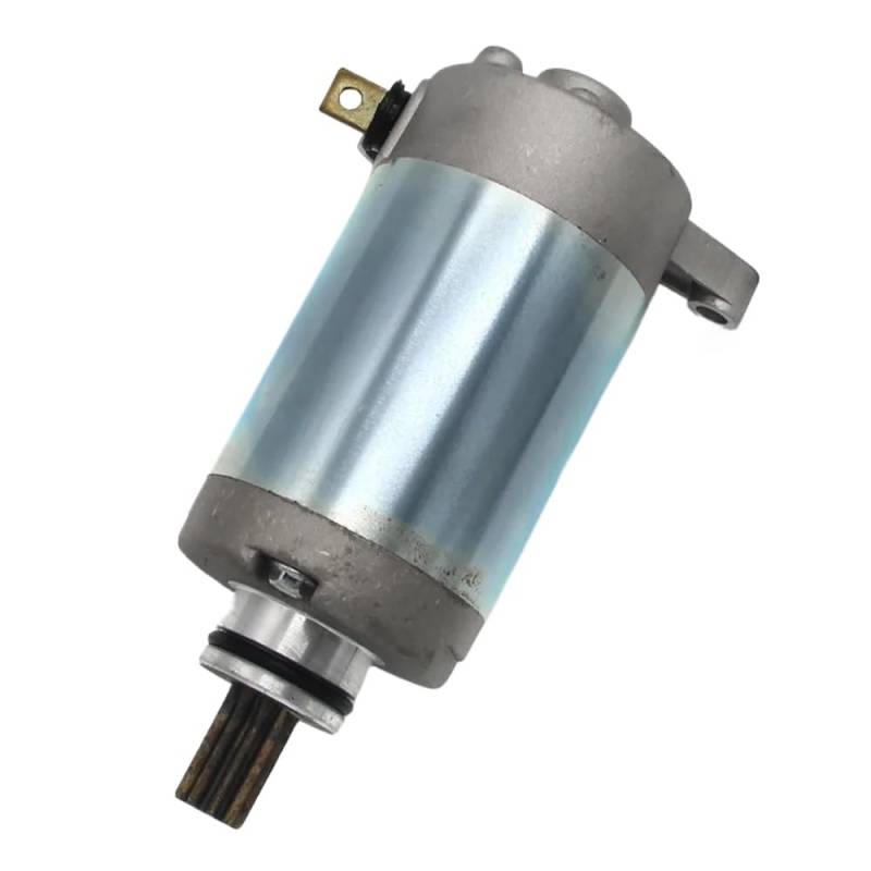 Kompatibel mit XT125R XT125X YB125 YBR125ED YBR125ESD YB125SPD Modelle Motorrad Starter Motor Magneto 3D9-H1890-00 3D9-H1800-01 Teile von MCHkR