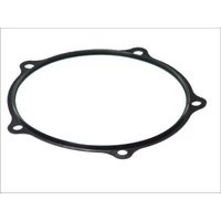 Dichtring, Radnabe MERITOR MER 21224759 von Meritor