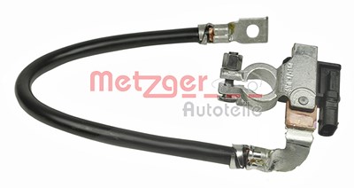 Metzger Sensor, Batteriemanagement [Hersteller-Nr. 0901262] für BMW, Mini von METZGER