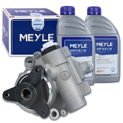 Meyle Hydraulikpumpe, Lenkung [Hersteller-Nr. 16-146310001/S] für Nissan, Opel, Renault, Vauxhall von MEYLE