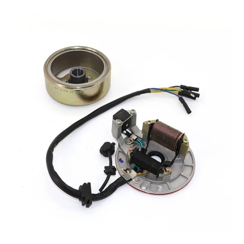 Motorrad-Generator-Statorspule Für Motorräder Lifan 125cc AC Zündung Magneto Stator Spule Für LF 50cc 110cc 125cc Horizontale Kick Starter Motoren Dirt Pit Bikes von MEndip