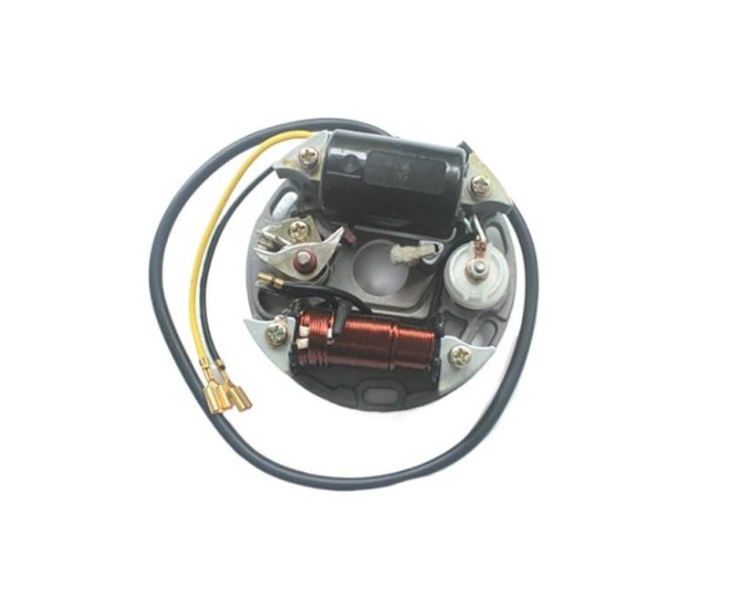 Motorrad-Generator-Statorspule Statorspule 6 V 17 Watt Zundapp Kreidler Hercules FÜR Zündung Lichtmaschine Statorspule 17 Watt Motorrad Motor Generator Ladespule von MEndip