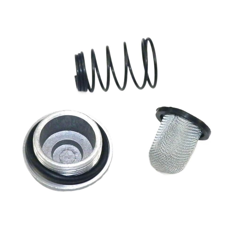 Kompatibel mit 139QMB 152QMI 157QMJ Motorrad-Ölfilter Roller Ölablassschraube oder Set Gy6 50cc 125cc 150cc (1 Set) von MFHgLKT