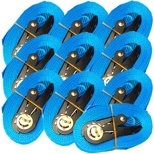 10 SPANNGURTE mit ZURRRATSCHE 6 m 0,8 t EN-12195-2 Zurrgurte 6m (Blau) (10 Stück) von MGS SHOP