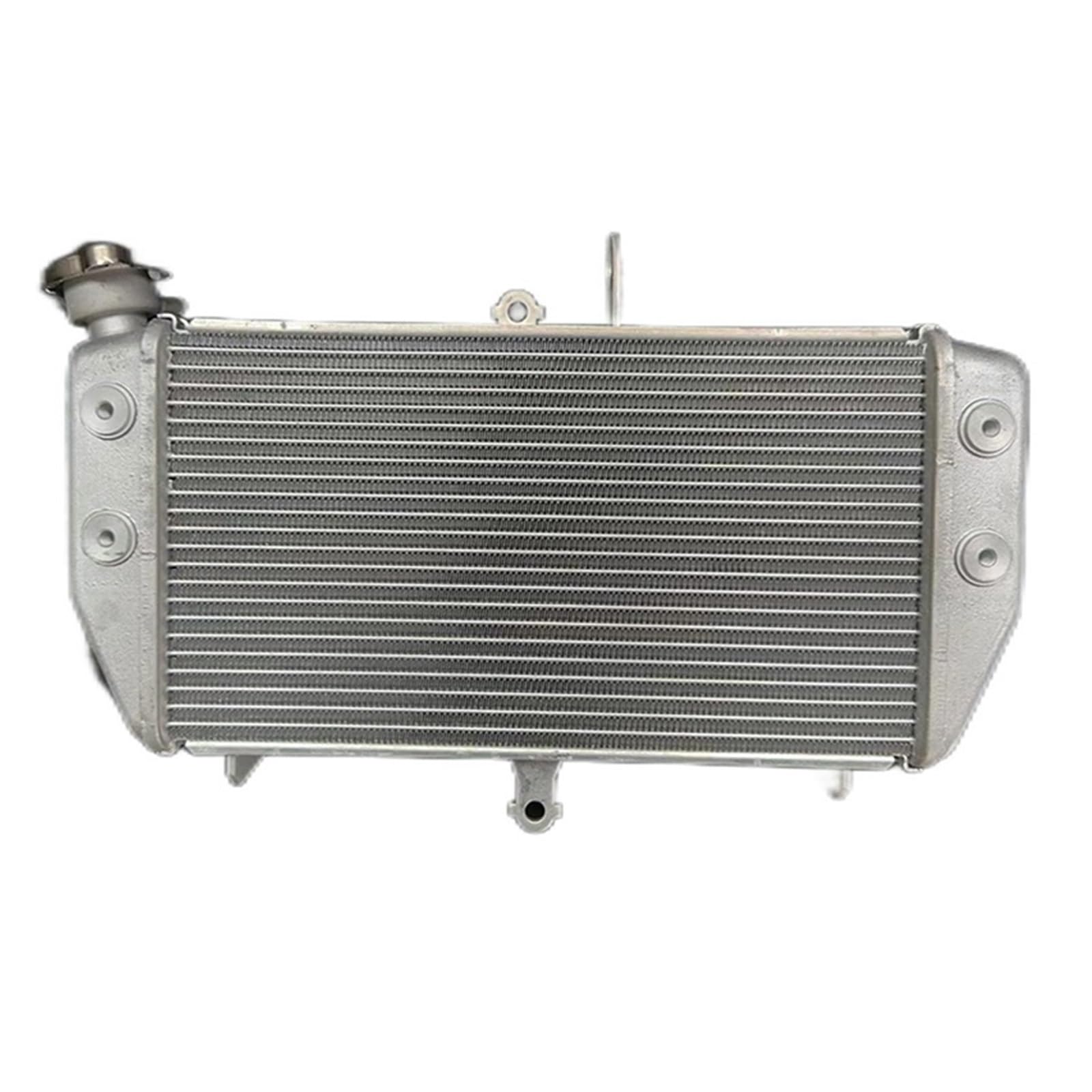 Motorrad Kühler B04-E2461-00 for MT-03 MT-25 2016-2018 OEM B04E246100 Kühler Motor Kühler Kühlung von MIOSEA