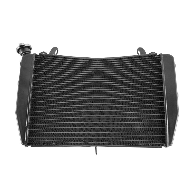 Motorrad Kühler Kühlwasser Tank for YZF-R1 YZF R1 2009-2014 YZFR1 Motor Kühlergrill Schutz Schutz Zubehör von MIOSEA