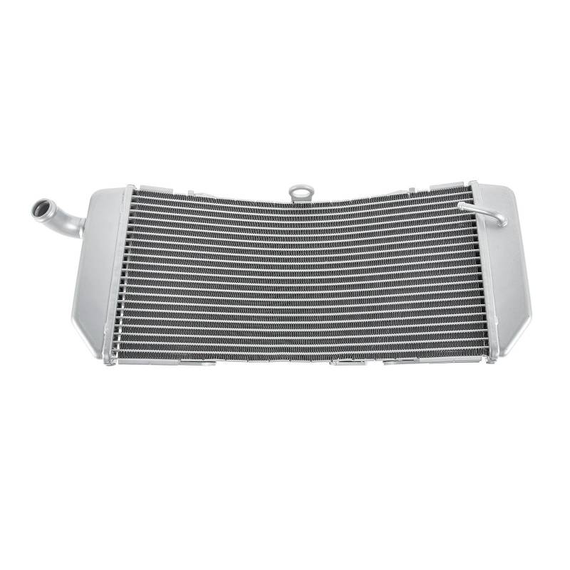 Motorrad Motor Kühler Kühlmittel Tank Thermische Abdeckung for T-MAX TMAX Tmax530 2012-2016 Kühlergrill Schutzfolie(Silver) von MIOSEA