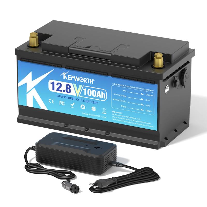 Lifepo4 Akku 12v 100ah Autobatterie mit BMS Ersetzt AGM oder Gel Aufbau Batterie für Wohnmobil, Boot, Camping oder Solaranlage - mit lifepo4 ladegerät von MOSEWORTH