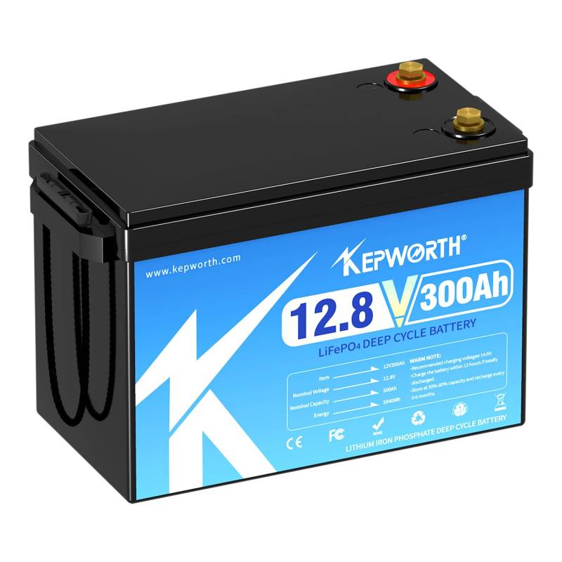 Lifepo4 Akku 12v 300ah Autobatterie mit BMS Ersetzt AGM oder Gel Aufbau Batterie für Wohnmobil, Boot, Camping oder Solaranlage - mit lifepo4 ladegerät von MOSEWORTH