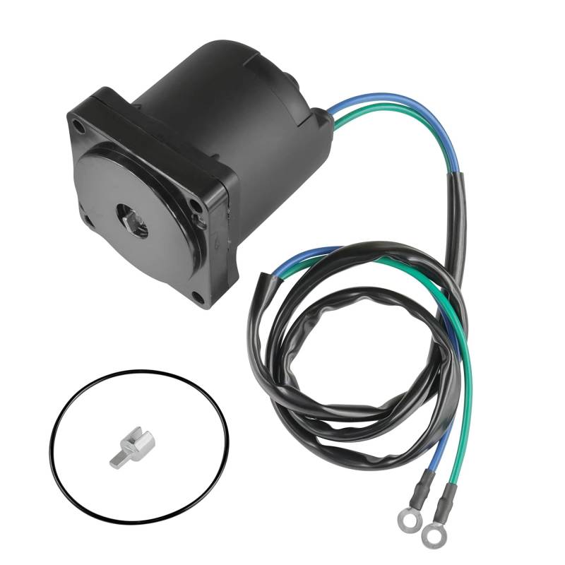 Anlassermotor Tilt Trim Motor Kompatibel Für Außenbordmotor 115–225 PS Für F150 F115 67H-43880-10-00 67H-43880-03-00 10855 68V-43880-01-00 Startermotor von MWCMAMBG