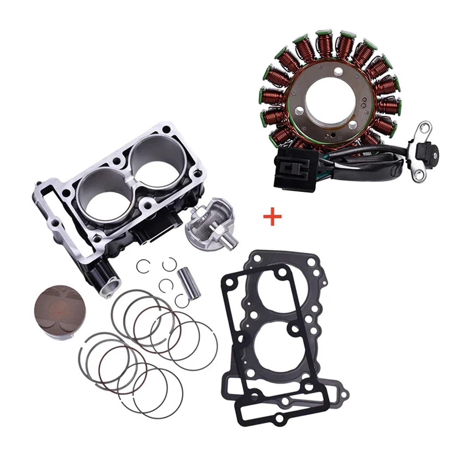 Motorrad Motor Ersatz Kolben Ring Werkzeug Zylinderkopf Dichtung Kit Set + Stator Spule for Ninja 300 Ninja300 ABS 2013-2015 von MZTJSFIO