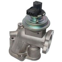 AGR-Ventil MAGNETI MARELLI 571822112117 von Magneti Marelli