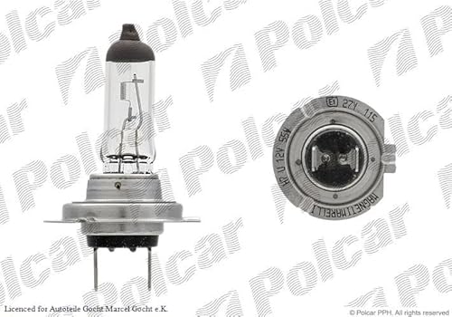 Glühbirne H7 Kompatibel mit Audi BMW Fiat Ford Mercedes von Autoteile Gocht von Magneti Marelli