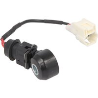 Klopfsensor MAGNETI MARELLI 064836010010 von Magneti Marelli