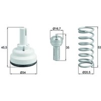 Thermostat, Kühlmittel BEHR MAHLE TX 182 105D von Mahle