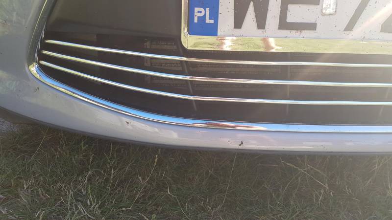 Kompatibel mit Ford C-MAX II Leisten Chrom Grill Tuning Kuhlergrill Zierleisten von Martig