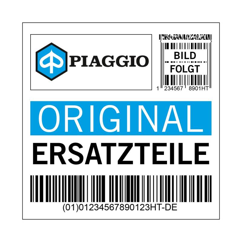 Kaskade Piaggio Verkleidung Horn, rot, R7 rot dragon/passione / 894 für Vespa GTS HPE, 1B006684000R7 von Maxtuned