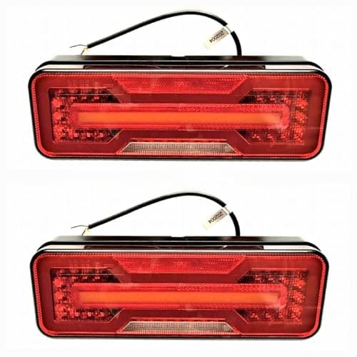 MelTruck 2x LED Rückleuchte 6 Funktionen Dynamischer Blinker Neon 12V 24V E9 von MelTruck