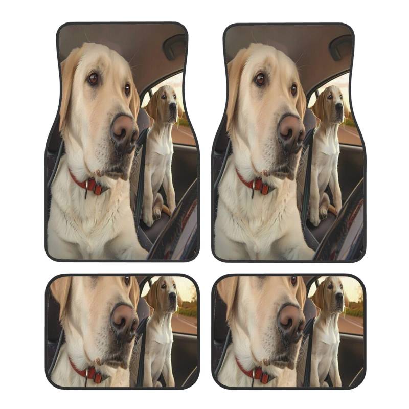 Mexpekil Funny Dog Driveing Car Mats Set of 4 All Weather Universal Car Floor Mats Non Slip Waterproof Automotive Carpet Foot Mats for SUV Van Truck von Mexpekil