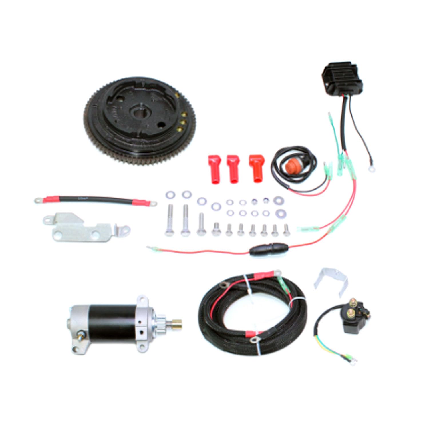 Molloparts Elektro-Startmotor Schwungrad-Kit kompatibel mit Yamaha Außenborder F20SMHB F20SMHA F20MSHG F20BMH F20MLH F20LMHA F20BMH von Molloparts