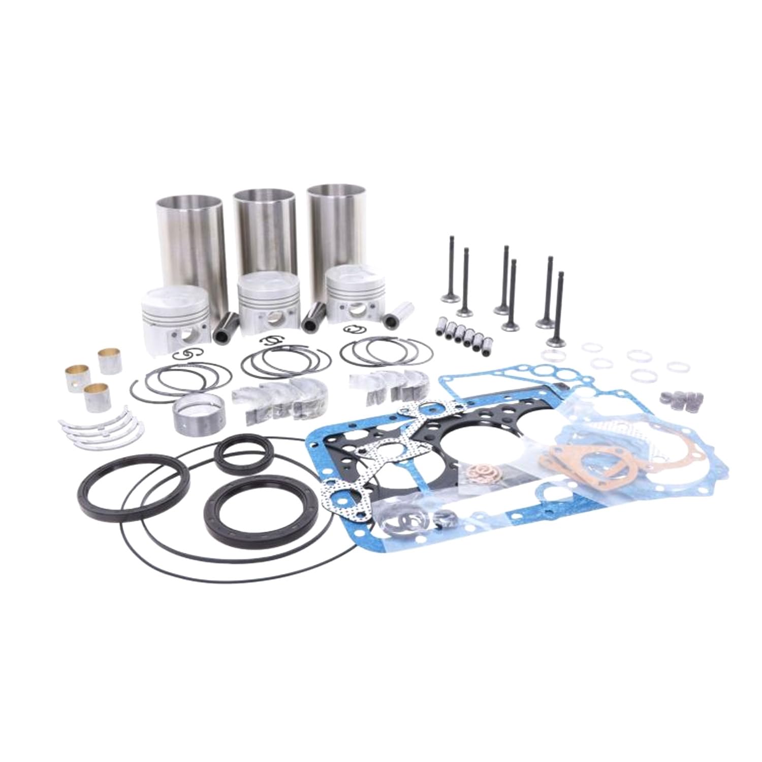 Molloparts Überholung Rebuild Kit Kompatibel mit Kubota Motor D722 Zero Turn Rasenmäher ZD18 von Molloparts