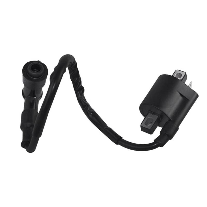 Motorrad Zündspule,MoreChioce Zündmodul Zündkerzenstecker Zündspule Roller Zündspule kompatibel für 125cc 150cc 200cc Motorrad von MoreChioce