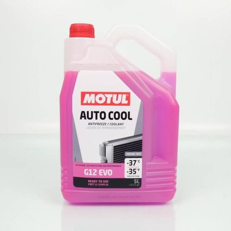 Motul Auto COOL G12 EVO -37°C 5 Liter von Motul