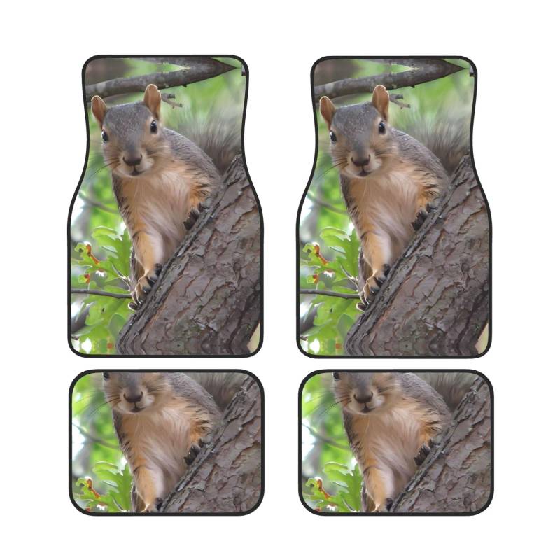 Quadratisches Fußmatten-Set, Motiv: Eichhörnchen im Baum, langlebiges und individuelles Fußmatten für Autos, universelles Automatten-Set, schützende Auto-Fußmatten von Mouxiugei